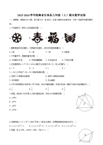 2025-2026学年海南省乐东县九年级（上）期末数学试卷（含答案+解析）