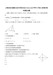 云南省迪庆藏族自治州香格里拉市2024-2025学年八年级上册期末数学模拟试题-自定义类型