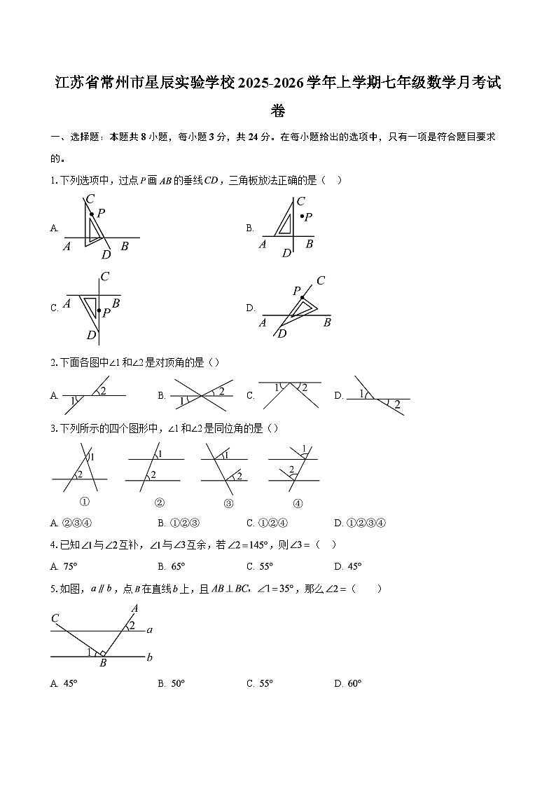 江苏省常州市星辰实验学校2025-2026学年上学期七年级数学月考试卷-自定义类型第1页