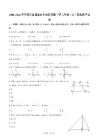 2025-2026学年四川省眉山市东坡区苏辙中学九年级（上）期末数学试卷（有答案）