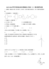 2025-2026学年甘肃省定西市渭源县九年级（上）期末数学试卷（含答案+解析）