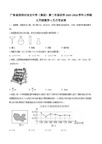 广东省深圳市宝安中学（集团）第二外国语学2025-2026学年上学期九年级数学1月月考试卷-自定义类型