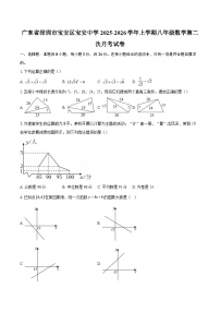 广东省深圳市宝安区宝安中学2025-2026学年上学期八年级数学第二次月考试卷-自定义类型