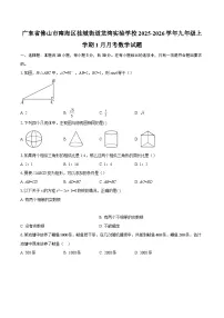 广东省佛山市南海区桂城街道龙湾实验学校2025-2026学年九年级上学期1月月考数学试题-自定义类型
