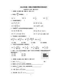 上海市普陀区2025-2026学年七年级上学期期末统考数学卷
