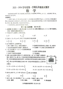 四川省内江市威远县2025-2026学年九年级上学期1月期末数学试题