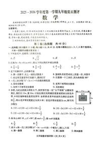 四川省内江市威远县2025-2026学年九年级上学期1月期末数学试题