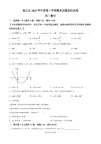 2026年上海市松江区初三上学期一模数学试卷和答案解析