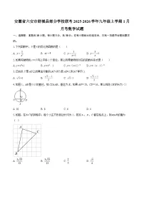 安徽省六安市舒城县部分学校联考2025-2026学年九年级上学期1月月考数学试题-自定义类型