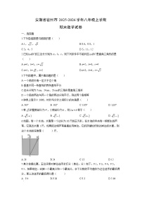 2025-2026学年安徽省宿州市八年级上学期期末数学试卷（学生版）