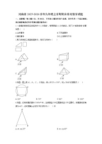 2025-2026学年河南省九年级上学期期末联考数学试卷（学生版）