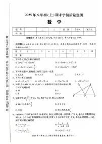 湖南省邵阳市双清区2025-2026学年八年级上学期期末考试数学试题