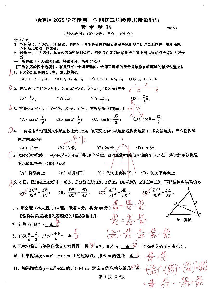 2026届上海市杨浦区初三一模数学卷答案(独家解析)第1页