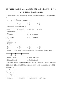 浙江省嘉兴市南湖区2025-2026学年上学期1月“绿色评价一能力立意”学科测评七年级数学试题卷-自定义类型