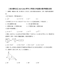 上海市静安区2025-2026学年上学期七年级期末数学模拟试卷(含答案+解析)
