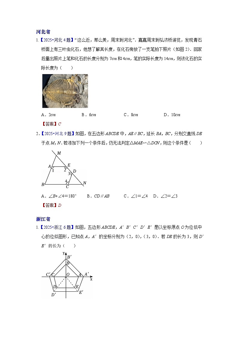 2025年各省市中考数学试卷分类汇编知识点37 相似、位似及其应用(Word版附解析)第3页