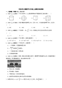 最新华东师大版新教材七年级数学上册期末检测卷（二）(学生版)