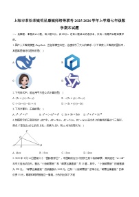 上海市莘松莘城明星康城师培等联考2025-2026学年上学期七年级数学期末试题（含答案+解析）