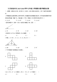 江苏省扬州市2025-2026学年七年级上学期期末数学模拟试卷-自定义类型