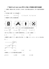广东省中山市2025-2026学年九年级上学期期末数学训练题-自定义类型