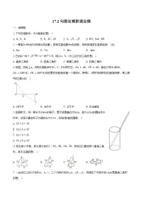 初中数学人教版(2024)八年级下册勾股定理的逆定理练习