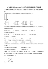 广东省深圳市2025-2026学年七年级上学期期末数学训练题-自定义类型
