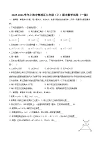 2025-2026学年上海市青浦区九年级（上）期末数学试卷（一模）-自定义类型