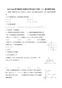 2025-2026学年黑龙江省绥化市明水县八年级(上)期末数学试卷-自定义类型