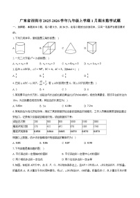 广东省深圳市2025-2026学年九年级上学期1月期末数学试题（含答案+解析）