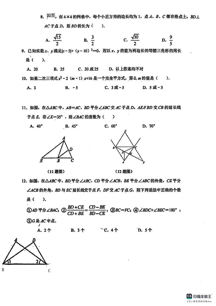 四川省眉山市洪雅县洪雅实验中学2024-2025学年八年级上学期期末数学试卷第2页
