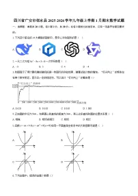 四川省广安市邻水县2025-2026学年九年级上学期1月期末数学试题-自定义类型