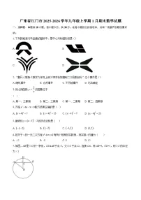 广东省江门市2025-2026学年九年级上学期1月期末数学试题-自定义类型