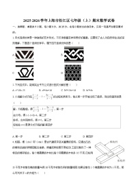 2025-2026学年上海市松江区七年级（上）期末数学试卷-自定义类型