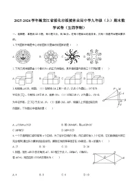 2025-2026学年黑龙江省绥化市绥棱林业局中学九年级（上）期末数学试卷（五四学制）-自定义类型