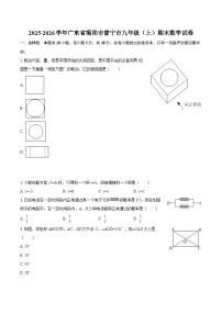 2025-2026学年广东省揭阳市普宁市九年级（上）期末数学试卷-自定义类型