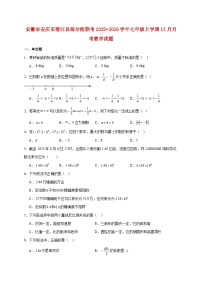 安徽省安庆市望江县部分校联考2025~2026学年七年级上册12月月考数学试题【附解析】