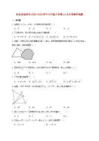 河北省沧州市2025~2026学年八年级上册12月月考数学试题【附解析】