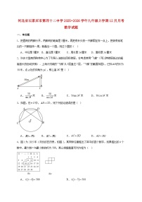 河北省石家庄市第四十二中学2025~2026学年九年级上册12月月考数学试题【附解析】
