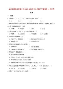 山东省菏泽市实验中学2025~2026学年上册八年级数学12月月考试题【附解析】