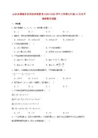 山东省聊城市东阿县多校联考2025~2026学年上册七年级12月水平调研数学试题【附解析】