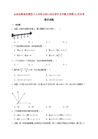 山东省青岛市第五十九中学2025~2026学年七年级上册12月月考数学试题【附解析】
