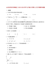 山东省枣庄市峄城区2025~2026学年七年级上册12月月考数学试题【附解析】