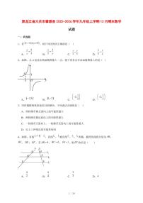 2025-2026学年黑龙江省大庆市肇源县九年级上学期12月期末数学试卷 [附答案]