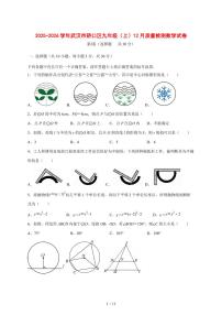2025-2026学年湖北省武汉市硚口区九年级上学期12月质量检测数学 [附答案]