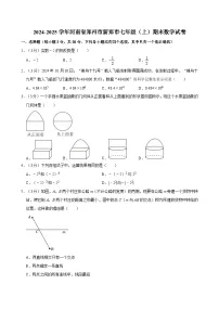 2024-2025学年河南省郑州市新郑市七年级（上）期末数学试卷含答案
