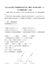 2025-2026学年广东省深圳市宝安中学（集团）初中部七年级（上）半月考数学试卷（1月份）-自定义类型