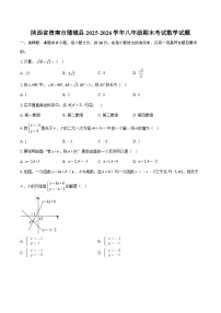 陕西省渭南市蒲城县2025-2026学年八年级期末考试数学试题-自定义类型