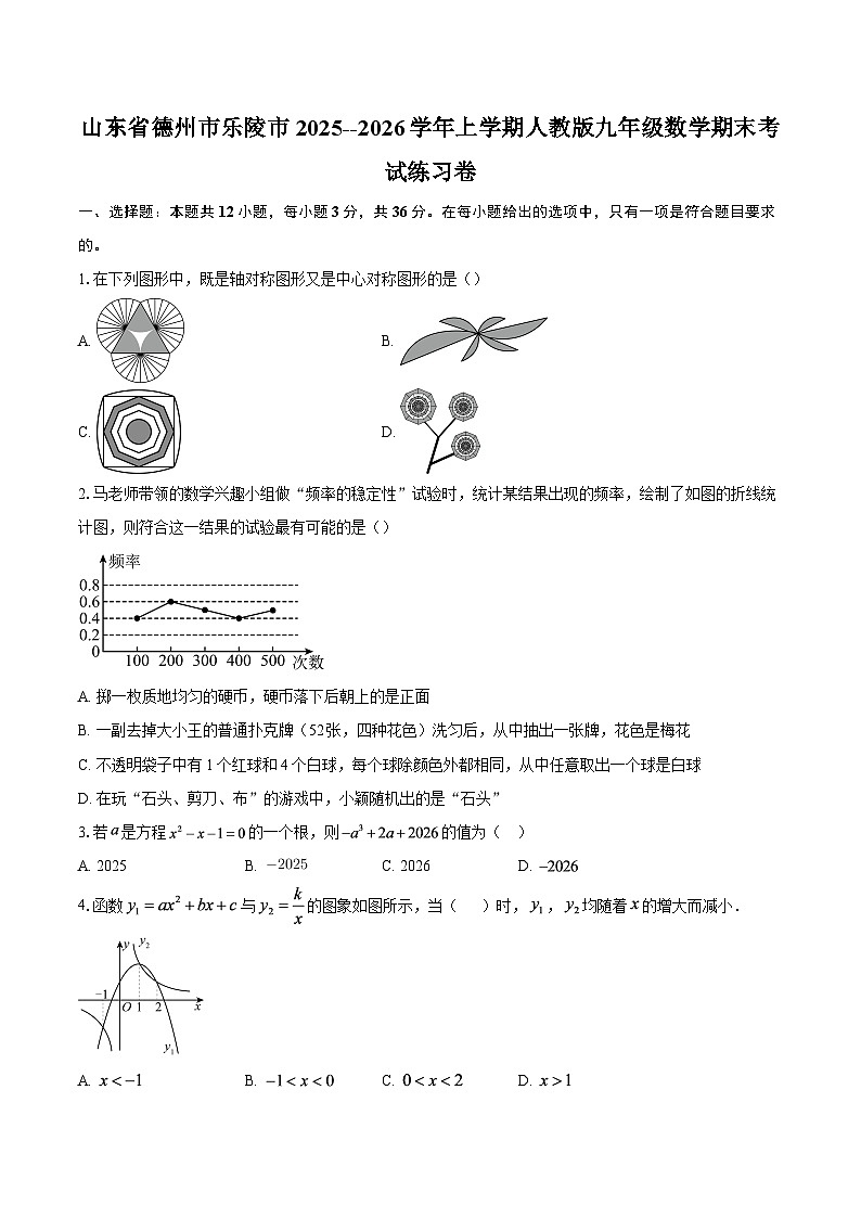 山东省德州市乐陵市2025--2026学年上学期人教版九年级数学期末考试练习卷-自定义类型第1页