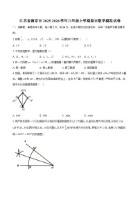 江苏省南京市2025-2026学年八年级上学期期末数学模拟试卷-自定义类型