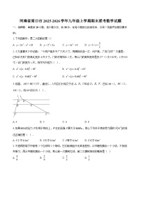 河南省周口市2025-2026学年九年级上学期期末联考数学试题-自定义类型